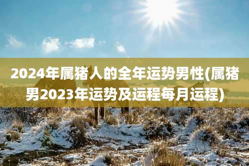 2024年属猪人的全年运势男性(属猪男2023年运势及运程每月运程)