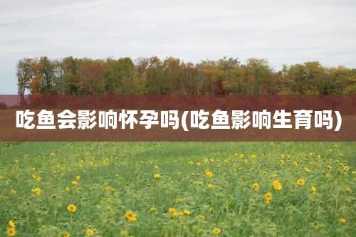 吃鱼会影响怀孕吗(吃鱼影响生育吗)