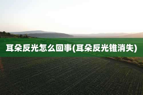 耳朵反光怎么回事(耳朵反光锥消失)