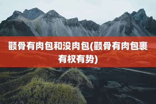 颧骨有肉包和没肉包(颧骨有肉包裹有权有势)