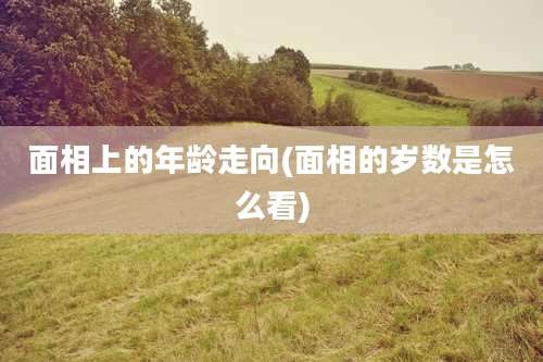 面相上的年龄走向(面相的岁数是怎么看)