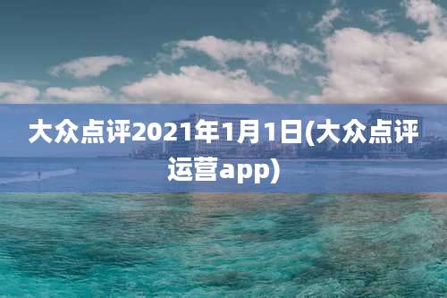 大众点评2021年1月1日(大众点评运营app)
