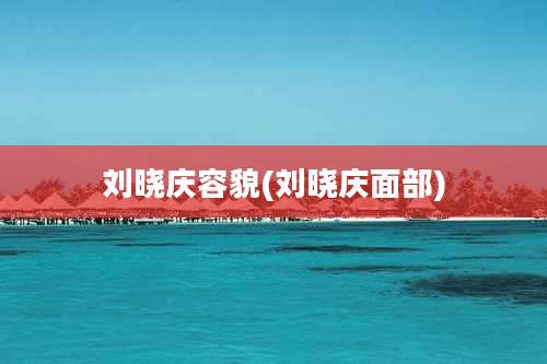 刘晓庆容貌(刘晓庆面部)