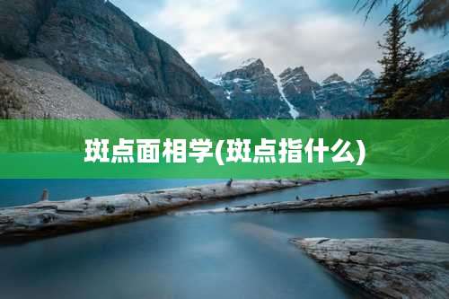 斑点面相学(斑点指什么)