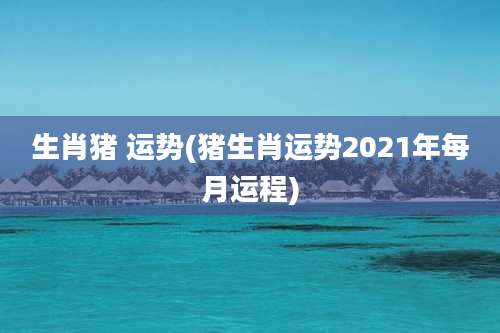 生肖猪 运势(猪生肖运势2021年每月运程)
