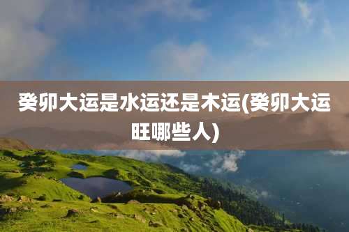 癸卯大运是水运还是木运(癸卯大运旺哪些人)