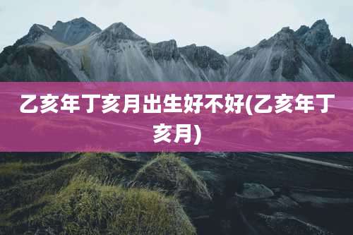 乙亥年丁亥月出生好不好(乙亥年丁亥月)