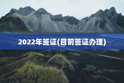 2022年签证(目前签证办理)