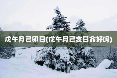 戊午月己卯日(戊午月己亥日命好吗)