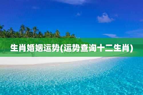 生肖婚姻运势(运势查询十二生肖)
