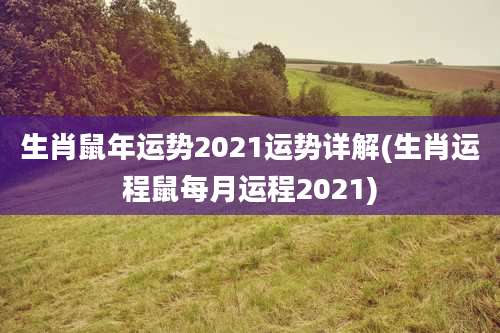 生肖鼠年运势2021运势详解(生肖运程鼠每月运程2021)