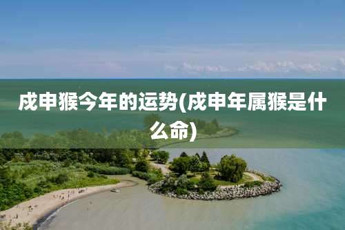 戍申猴今年的运势(戍申年属猴是什么命)