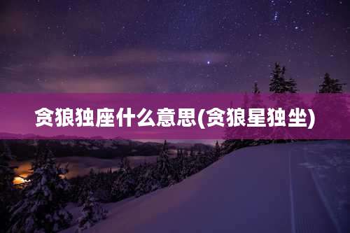 贪狼独座什么意思(贪狼星独坐)