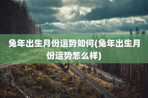兔年出生月份运势如何(兔年出生月份运势怎么样)
