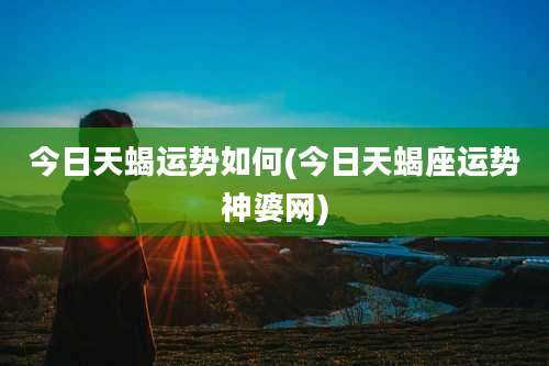 今日天蝎运势如何(今日天蝎座运势神婆网)