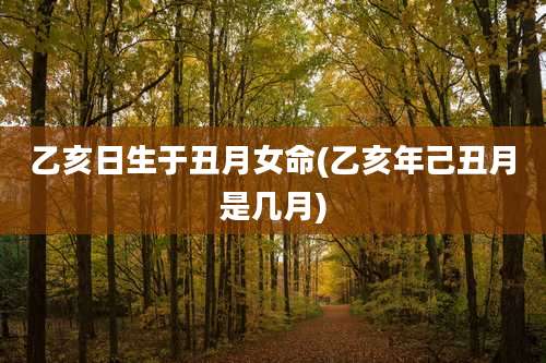 乙亥日生于丑月女命(乙亥年己丑月是几月)