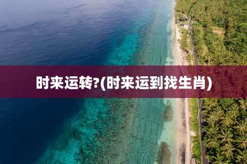 时来运转?(时来运到找生肖)