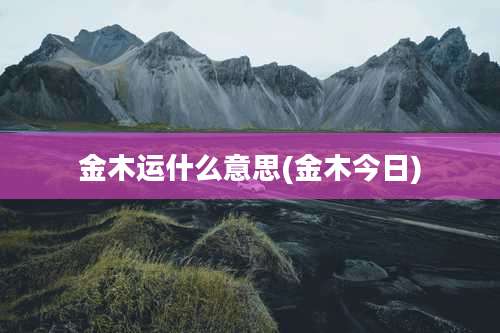 金木运什么意思(金木今日)
