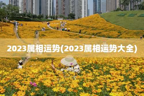 2023属相运势(2023属相运势大全)