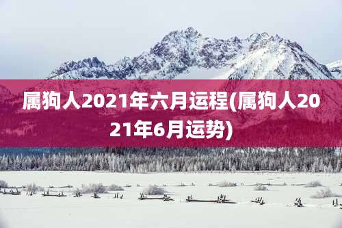 属狗人2021年六月运程(属狗人2021年6月运势)
