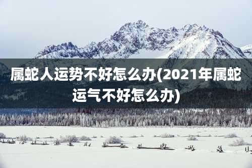属蛇人运势不好怎么办(2021年属蛇运气不好怎么办)