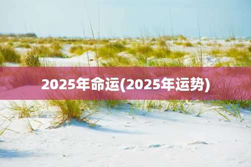 2025年命运(2025年运势)