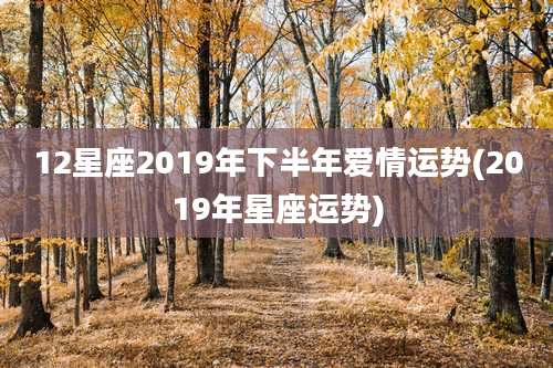 12星座2019年下半年爱情运势(2019年星座运势)