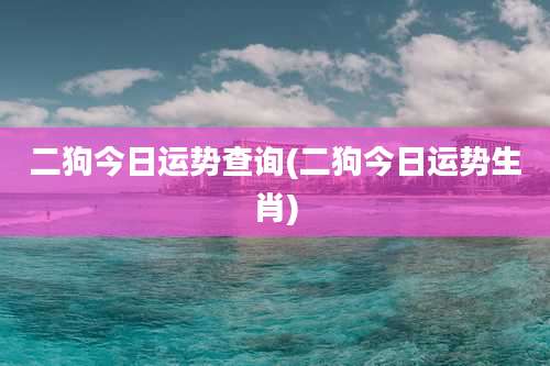 二狗今日运势查询(二狗今日运势生肖)