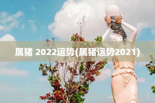属猪 2022运势(属猪运势2021)