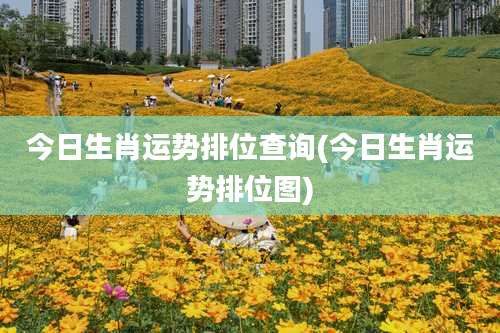 今日生肖运势排位查询(今日生肖运势排位图)