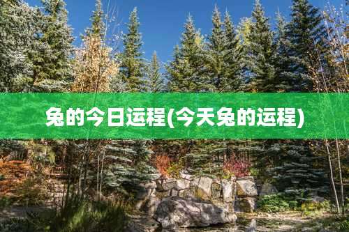 兔的今日运程(今天兔的运程)