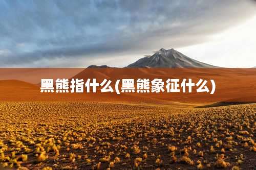 黑熊指什么(黑熊象征什么)