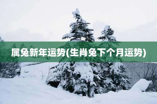 属兔新年运势(生肖兔下个月运势)