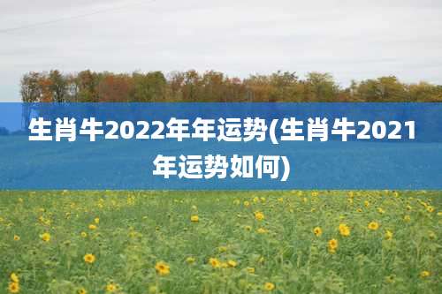 生肖牛2022年年运势(生肖牛2021年运势如何)