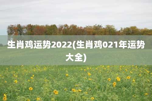 生肖鸡运势2022(生肖鸡021年运势大全)