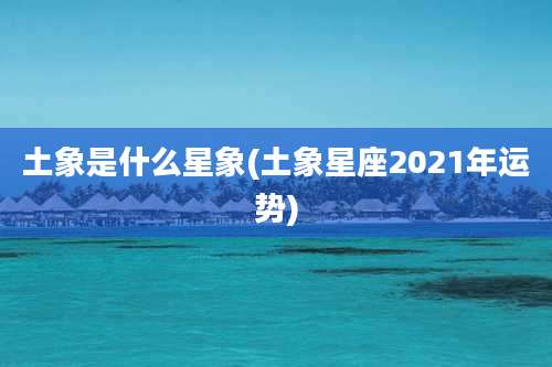 土象是什么星象(土象星座2021年运势)