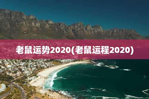老鼠运势2020(老鼠运程2020)