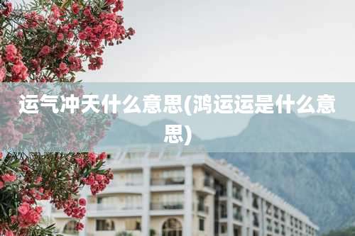 运气冲天什么意思(鸿运运是什么意思)
