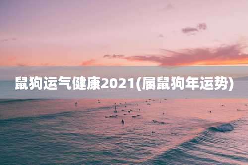 鼠狗运气健康2021(属鼠狗年运势)