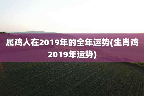 属鸡人在2019年的全年运势(生肖鸡2019年运势)