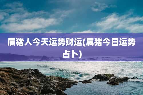 属猪人今天运势财运(属猪今日运势占卜)