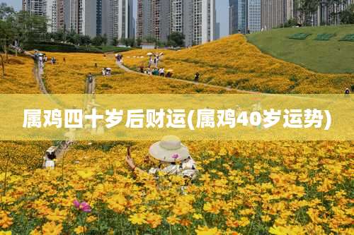 属鸡四十岁后财运(属鸡40岁运势)
