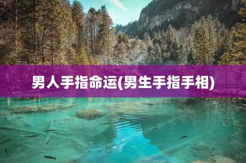 男人手指命运(男生手指手相)