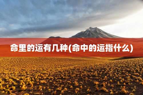 命里的运有几种(命中的运指什么)
