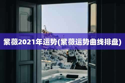 紫薇2021年运势(紫薇运势曲线排盘)
