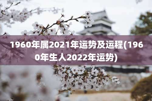 1960年属2021年运势及运程(1960年生人2022年运势)
