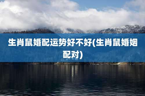 生肖鼠婚配运势好不好(生肖鼠婚姻配对)