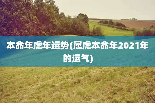本命年虎年运势(属虎本命年2021年的运气)