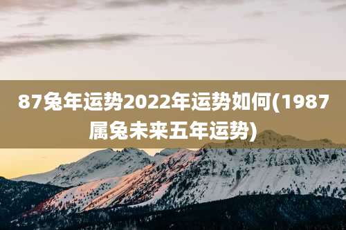 87兔年运势2022年运势如何(1987属兔未来五年运势)
