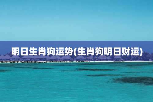 明日生肖狗运势(生肖狗明日财运)